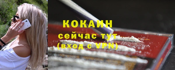 трава Белокуриха