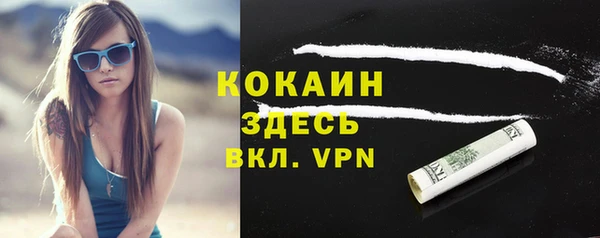 трава Белокуриха