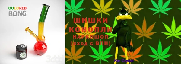 ГАЛЛЮЦИНОГЕННЫЕ ГРИБЫ Беломорск