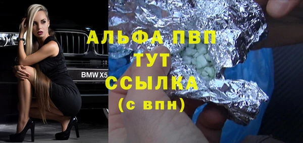 трава Белокуриха