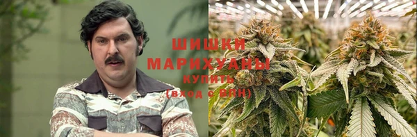 трава Белокуриха