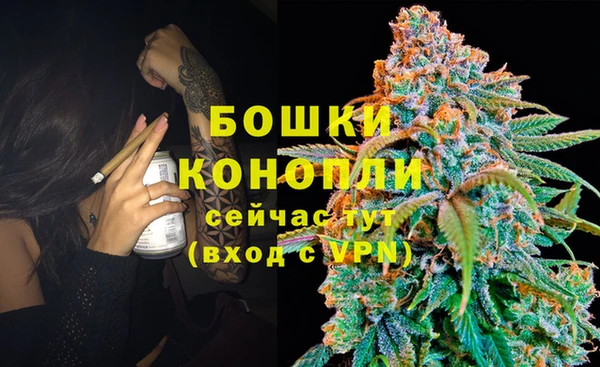 трава Белокуриха