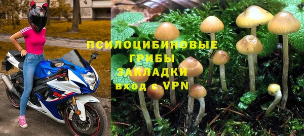 ГАЛЛЮЦИНОГЕННЫЕ ГРИБЫ Беломорск